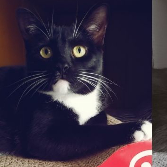 Meet your Posher, Hayley - Picture 2 of 8